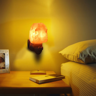 Rose Salt Wall Lamp Night Light-Your Soul Place